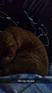 Zach, 22, United States