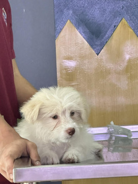 Ian Dave Tumayao, 20, Philippines