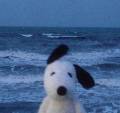 POTATOOOOOOO, 18, Finland