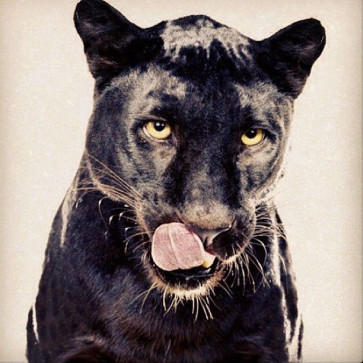 Yungbbc, 18, Ã…land Islands