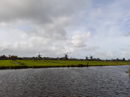 Dark Knight, 34, United Arab Emirates