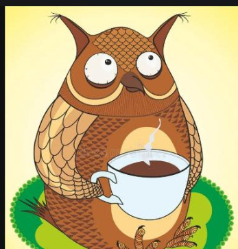 Mr Owl, 57, United States