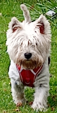 Alexandria, 28, United Kingdom