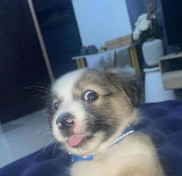 Constance Daylight, 24, Philippines