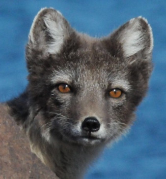 Jack, 65, United Kingdom