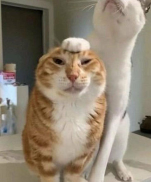 Emanuel, 21, Germany