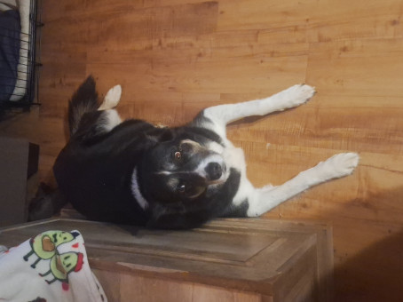 Deku82w3, 18, United States