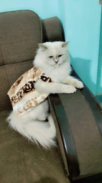 Arfat Khan, 19, India