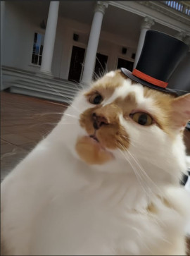 Oddman25, 18, United States