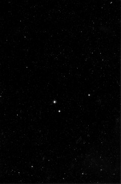 Mike, 31, United States