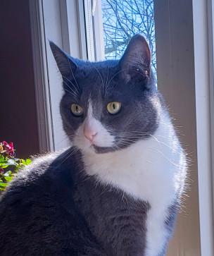 Valerie T Mckoy, 45, United States