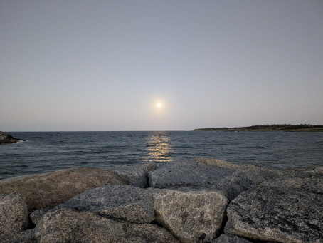 Shvdpns, 99, Australia