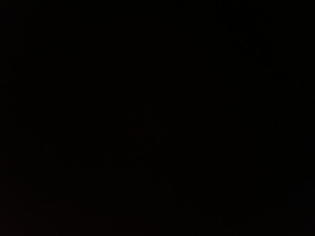 Zig, 18, United States