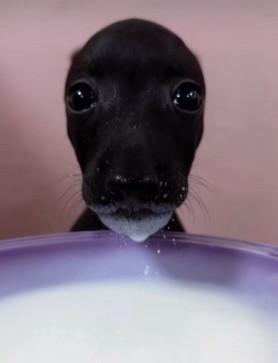 Lets Debate, 18, United States