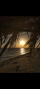 Youssef Adel, 22, Egypt