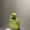 azi