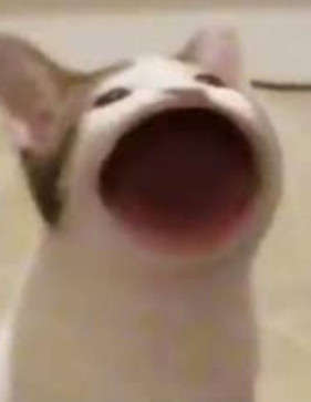 Tim Ryder, 22, United Kingdom