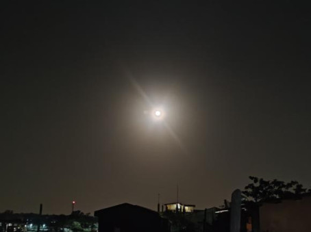 Rahul Sharma, 24, India