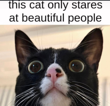 Its Me Again, 23, Egypt