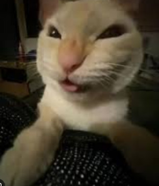 Maya, 22, United States