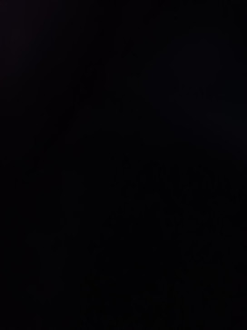 Jorion, 18, United States