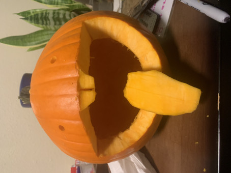 Logan Walker, 18, United States