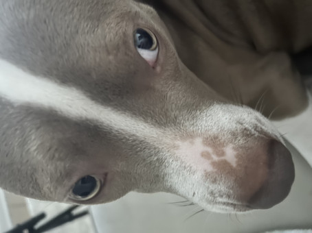 Mikejake, 24, United States