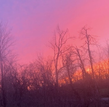 Beavith Hatz X2, 18, Canada