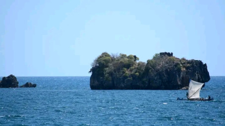 Estelo Mickael, 23, France