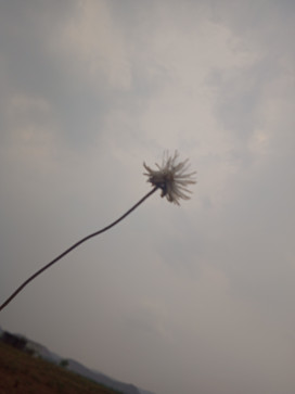 Denny Embeti, 18, India