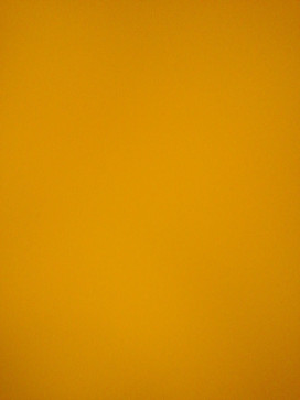 Pachu Pu, 18, Vatican City State