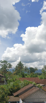 Kiwo Xi, 18, Indonesia