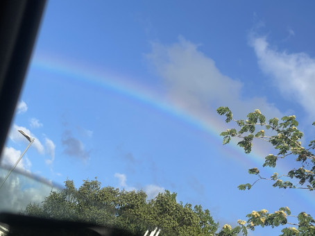 Jull 18, 18, Jamaica