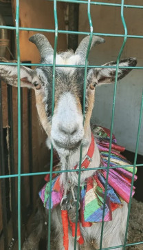 Ihateyou, 23, United Kingdom