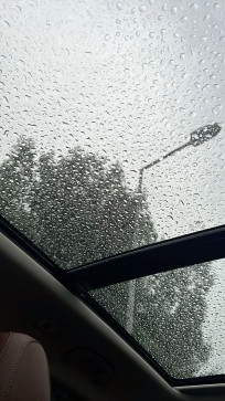 Techno Sat, 30, Algeria