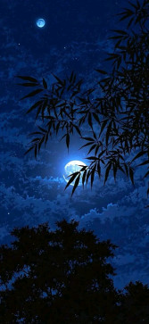 EL KHAL EL MEHDI, 21, United States