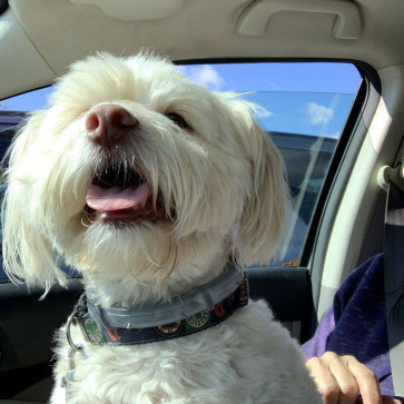 Alexa, 27, Nicaragua