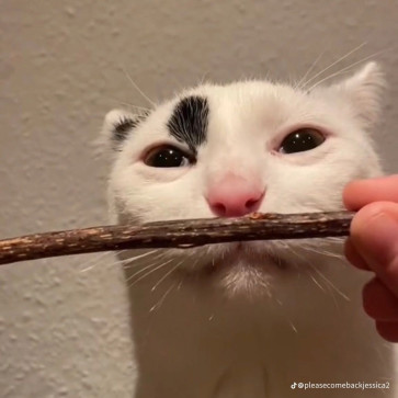 Mewheniow, 20, United Kingdom