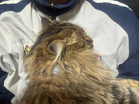 Beck, 20, United States