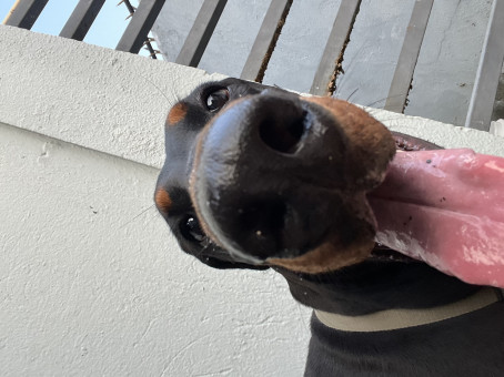 Justsomeguy, 23, Philippines