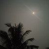 Kunal