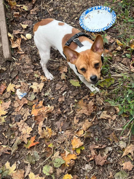 Mensaha, 28, United States