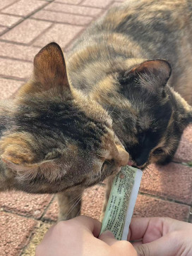 Please Be Friendly, 18, China