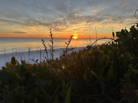 Noah, 28, United States