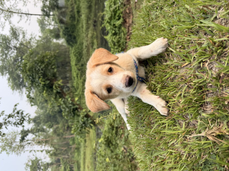 SumitK, 99, India