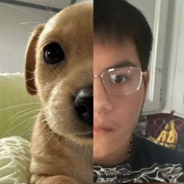 Defile, 19, United States