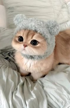 Good_Dadof2, 40, United States