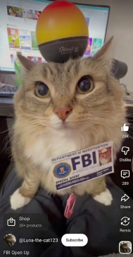 Hindu Cat G, 24, India