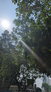 SHINDE ADITYA, 18, India