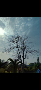 Kalyanjoy Sarkar, 20, India